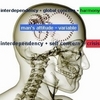 Law of Interdependency